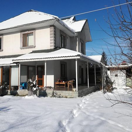 "European" Backpackers Hostel In Almaty Extérieur photo